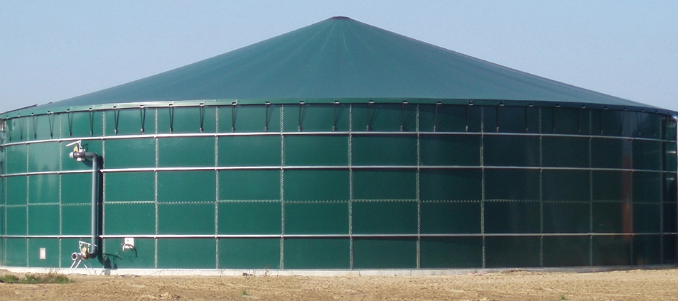 Single-Membrane-Structure-Groen-Photo-Big.jpg